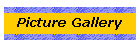 Picture Gallery